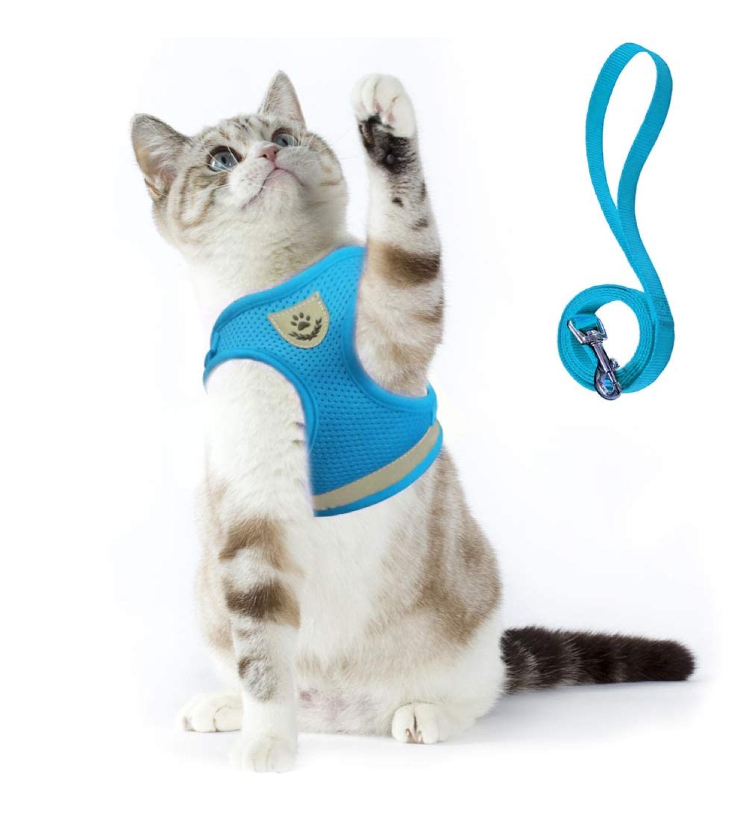 Supet Cat Dishes - Breaking-Safe Cat Linen & Soft Vest for Kittens & Chihuahua (L Light Blue) - Perfect for International Shipping - Buy Online on GoSupps.com