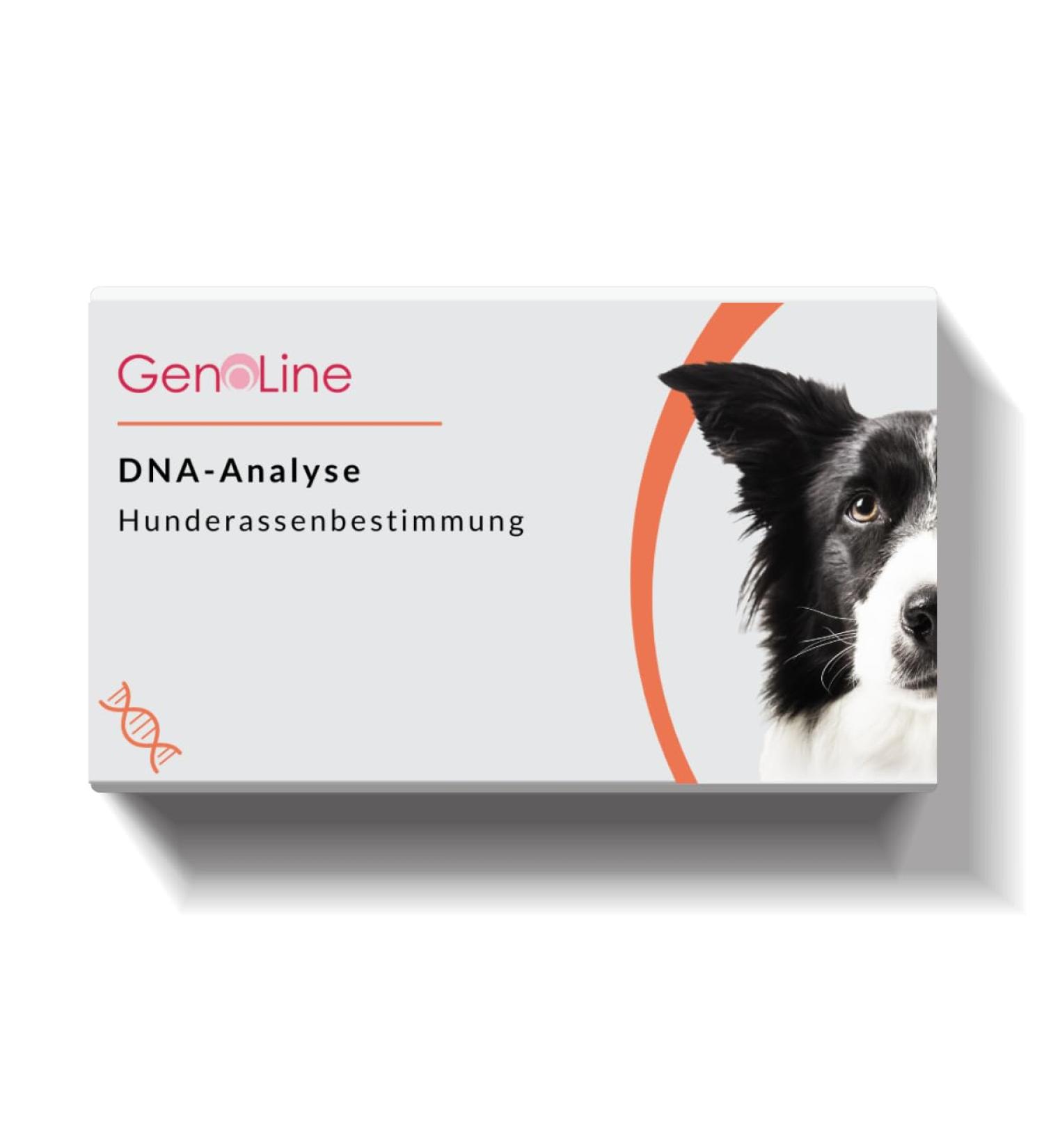 GenoLine DNA Dog Breed Test - Accurate Breed Determination for All Dogs Worldwide - Buy Online on GoSupps.com