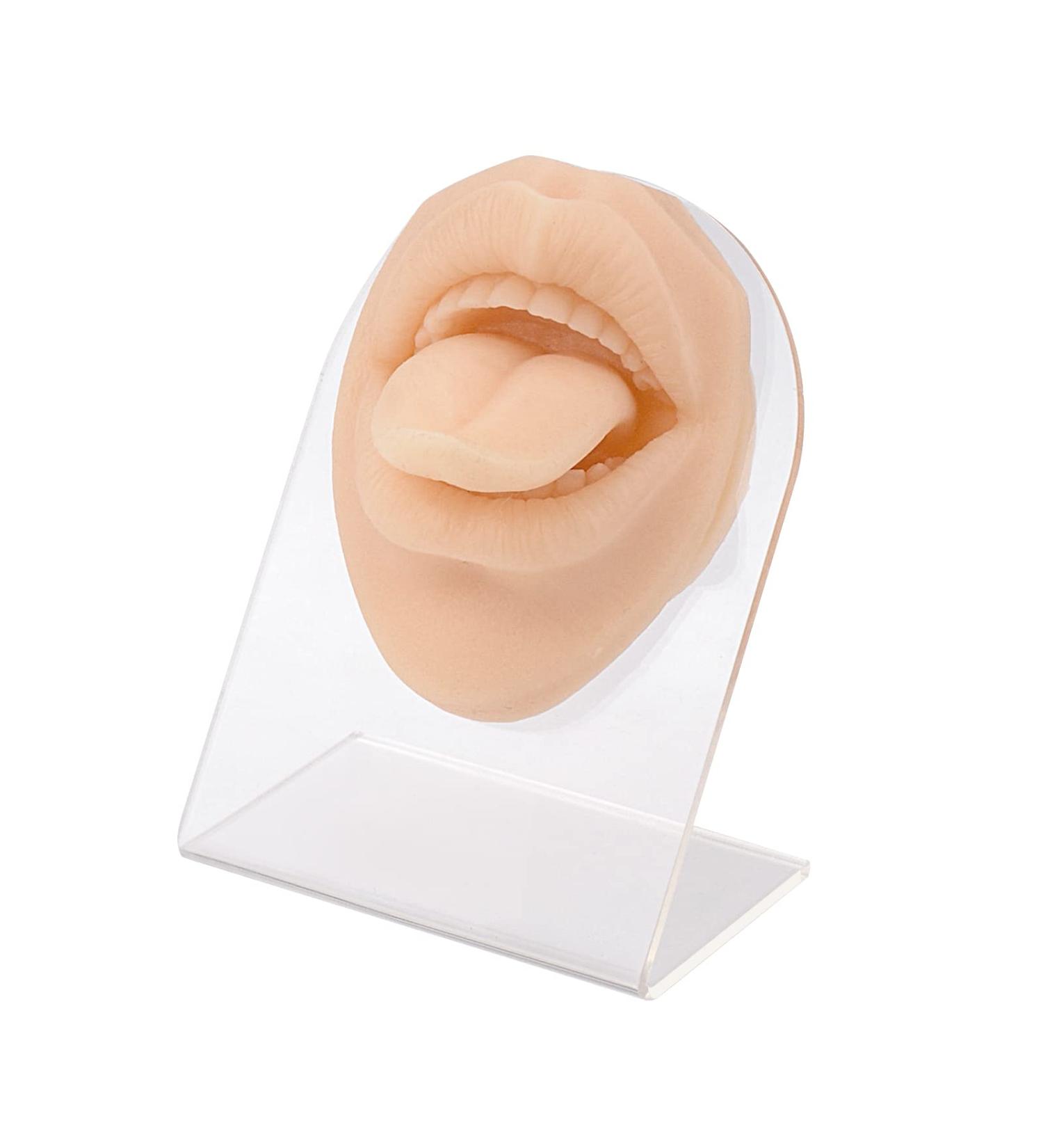 SimCoach Soft Silicone Tongue & Mouth Model | Piercing Practice Body Parts with Acrylic Stand | Jewelry Display Mold - Buy Online on GoSupps.com