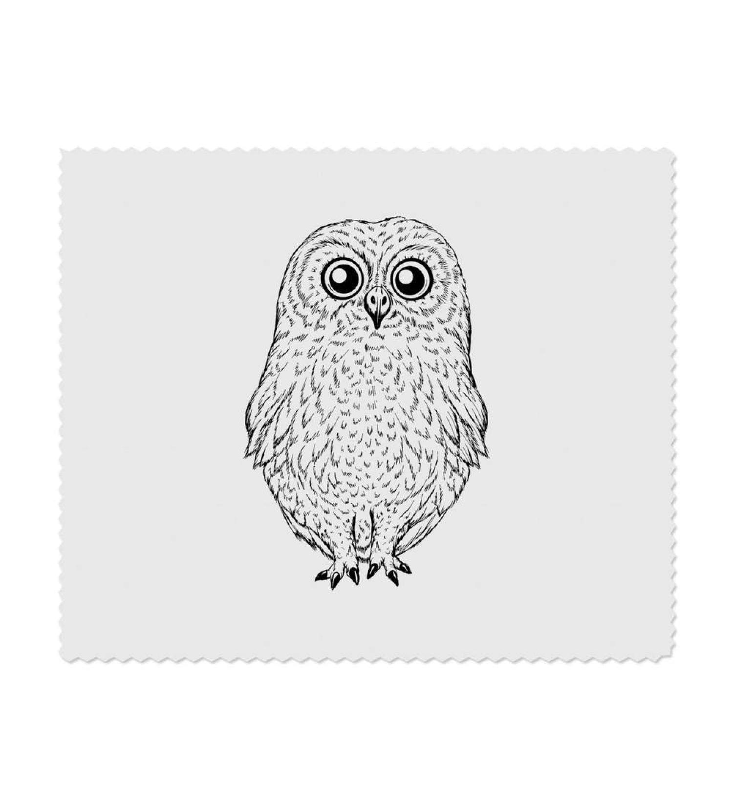 Buy Cute Owl Microfiber Lens & Eyeglass Cleaning Cloths - 2 Pack | International Shipping Available - Buy Online on GoSupps.com