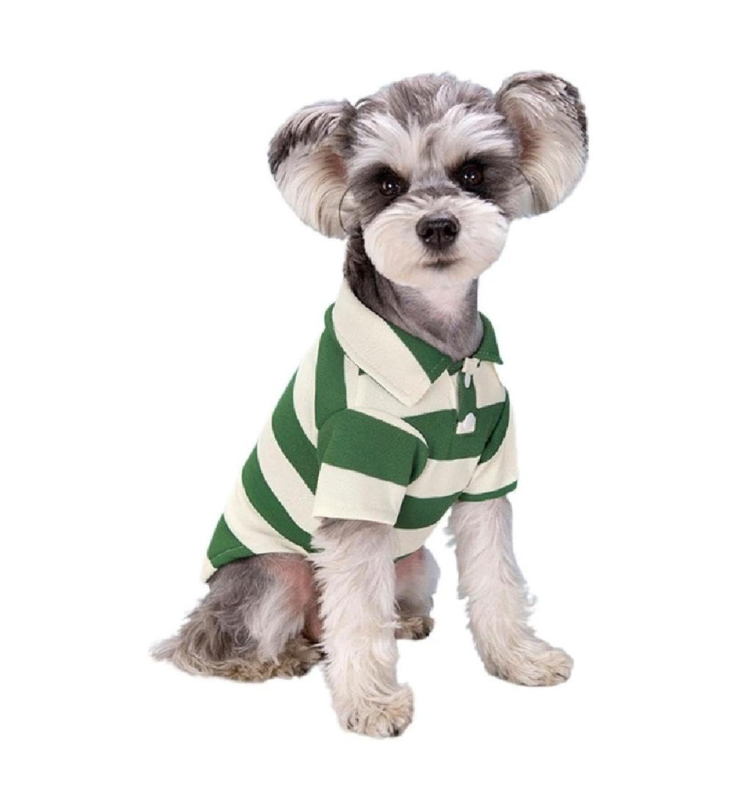 Stylish Striped Polo Shirt for Small Dogs | Breathable Summer Puppy Costume | Fashionable Clothing for Bichon & French Bulldog - X-Large Green - Buy Online on GoSupps.com