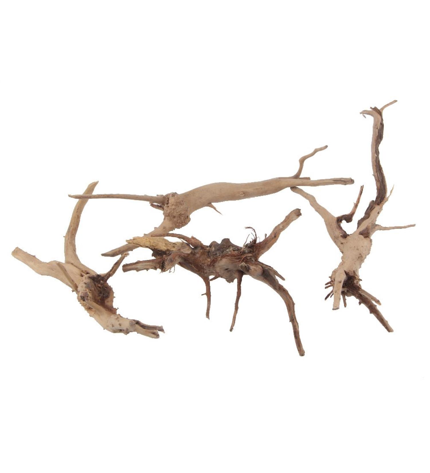 emours Natural Driftwood Vine Branches Reptiles Aquarium Decoration Assorted Sizes Small 4 Pieces - Buy Online on GoSupps.com