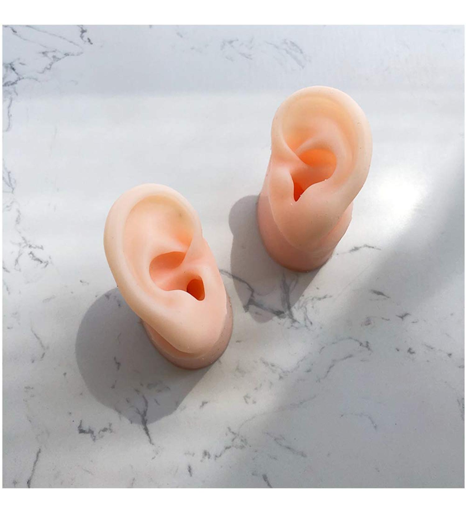 Soft Silicone Ear Model - Ear Acupoint Model - Silicone Ear Model -Artificial Simulation Human Ear - for Ear Picking Exercises Teaching Students Apair - Buy Online on GoSupps.com