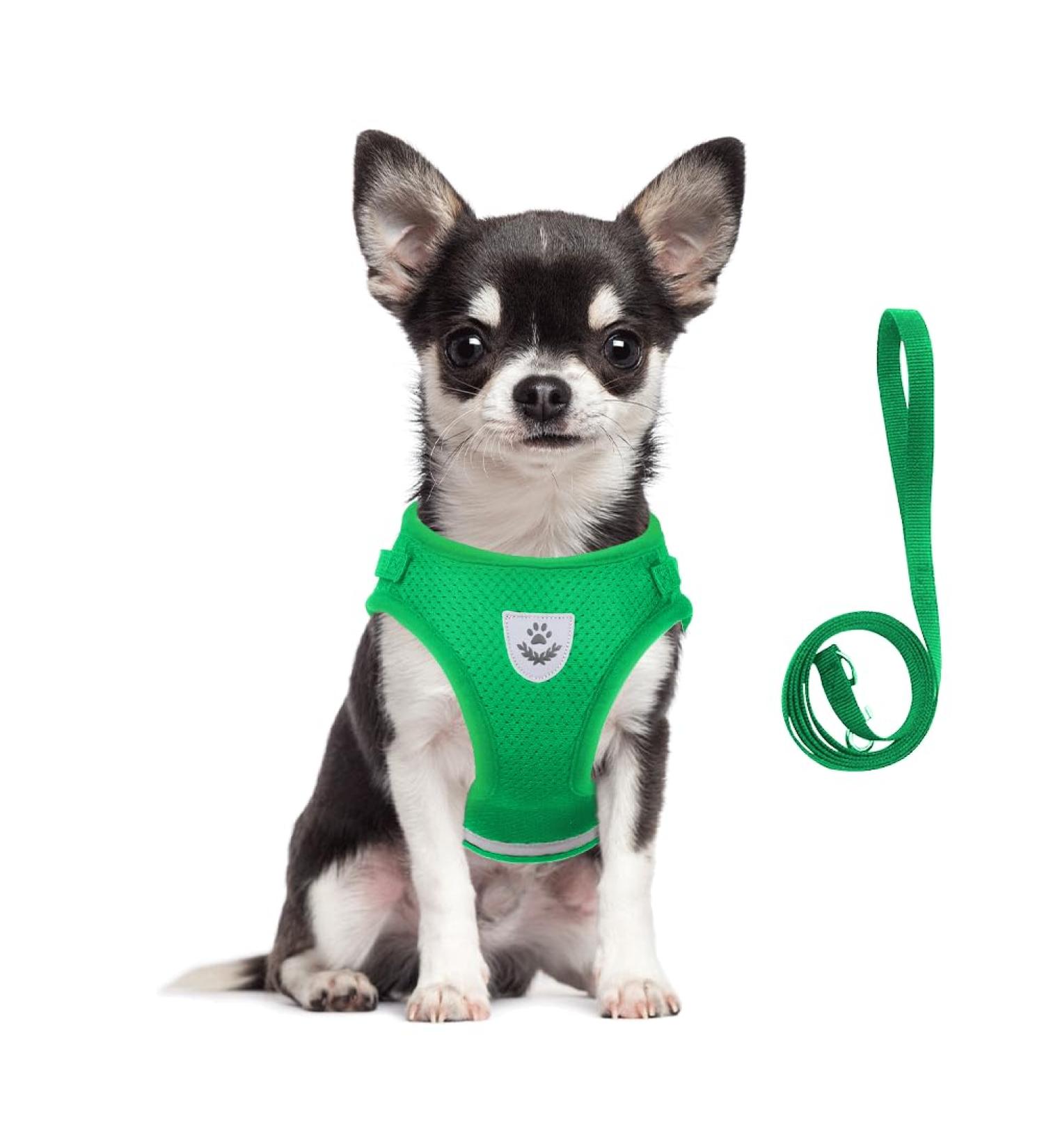 Meioro Adjustable Dog Harness with Leash - Soft Padded Black Vest for Small & Medium Puppies - Reflective & Comfortable - Ideal for Cats - Size S (30-34cm) - Green - Buy Online on GoSupps.com