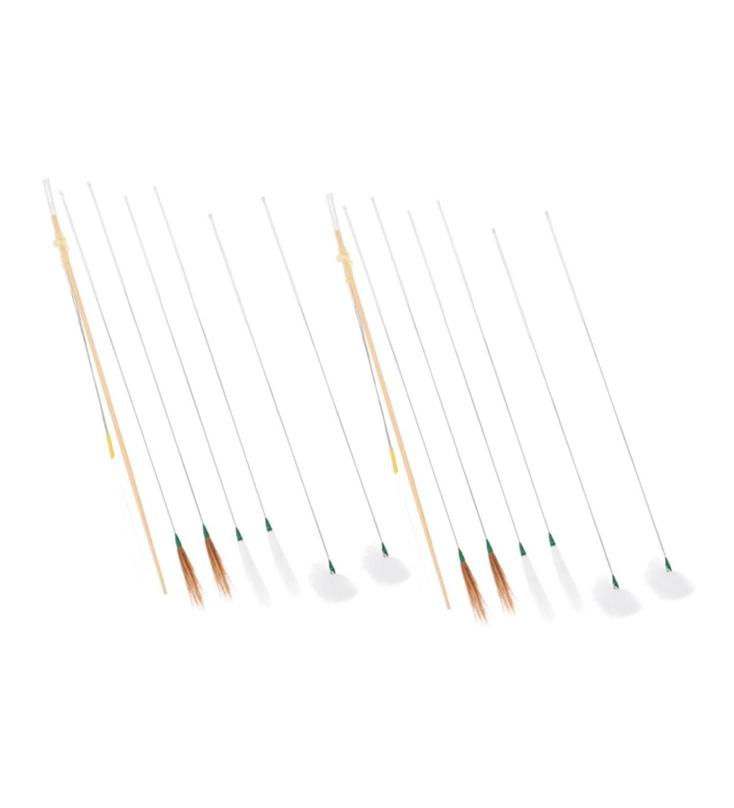 IWOWHERO 16Pcs Ear Cleaner Kit with Handles and Soft Plume Tips Portable Earwax Removal Tools for Ear Cleaning and Wax Build-up Removal Lightweight and Practical for Family Use - Buy Online on GoSupps.com
