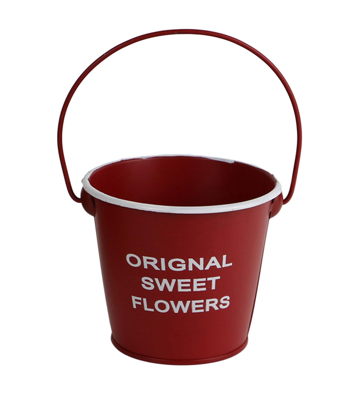 Muloo Mini Pots Plant Decorations Mini Succulent Plant Flower Small Metal Flower Bucket Planter Iron Bucket Hanging Red - Buy Online on GoSupps.com