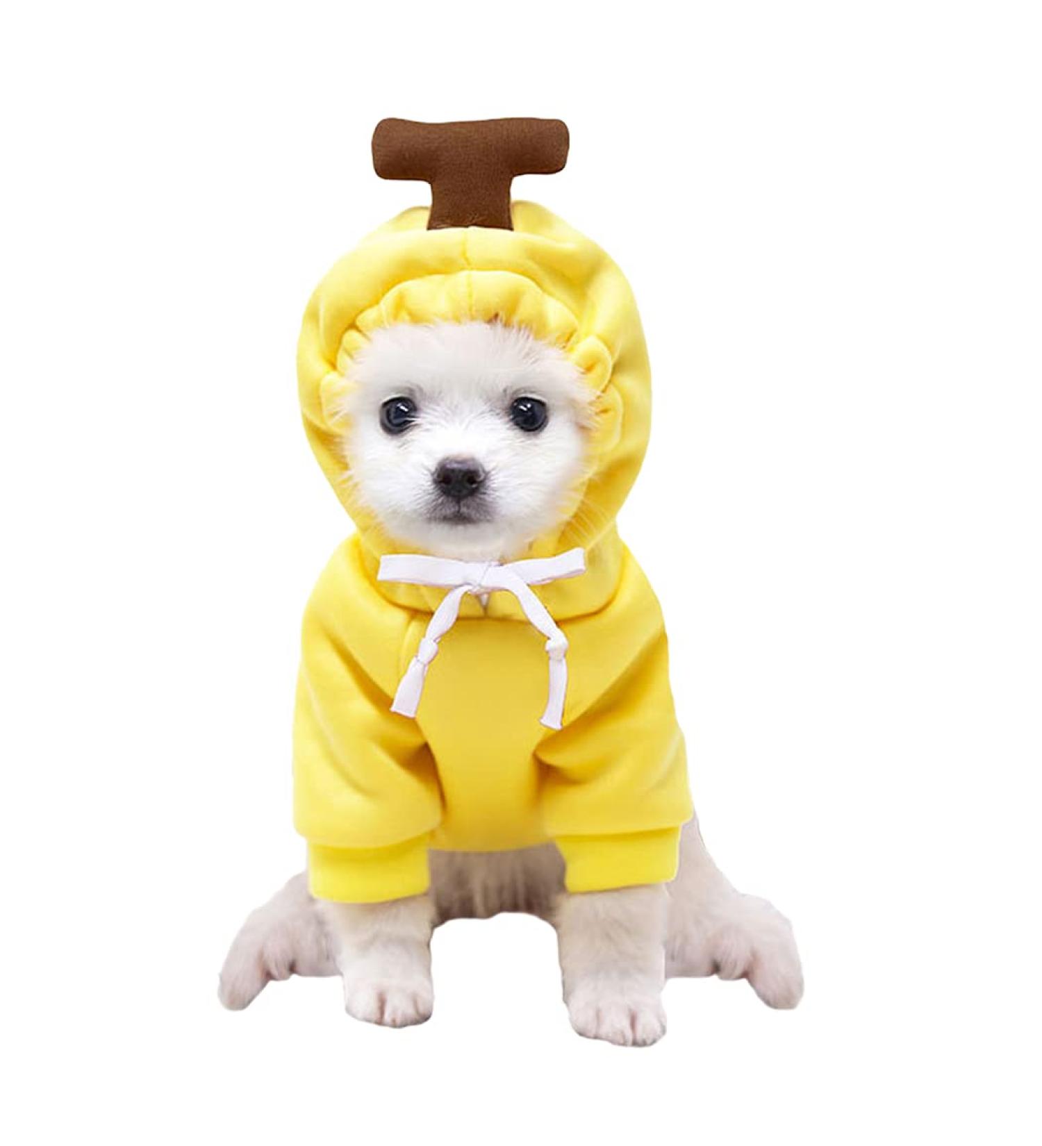 Xiaoyu Dog Hoodies - Warm Sweatshirt Coat for Puppies | Autumn Winter Fruit Hood with Banana | L Yellow - Buy Online on GoSupps.com