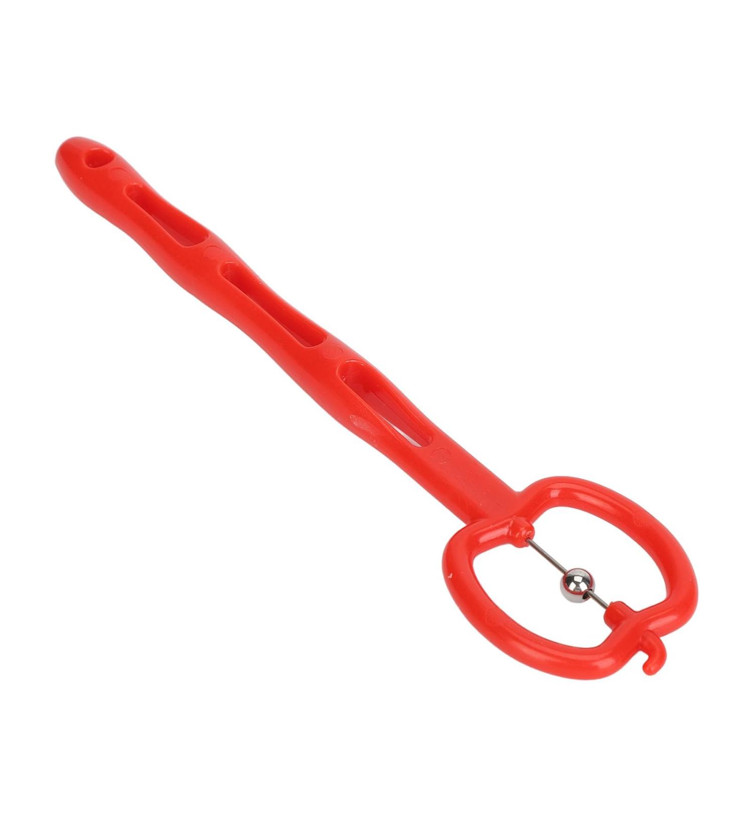 Oral Muscle Exerciser for Slurred Speech Recovery - Portable Tongue Tip Trainer for Elderly (Red) | Enhance Speech & Swallowing - Buy Online on GoSupps.com