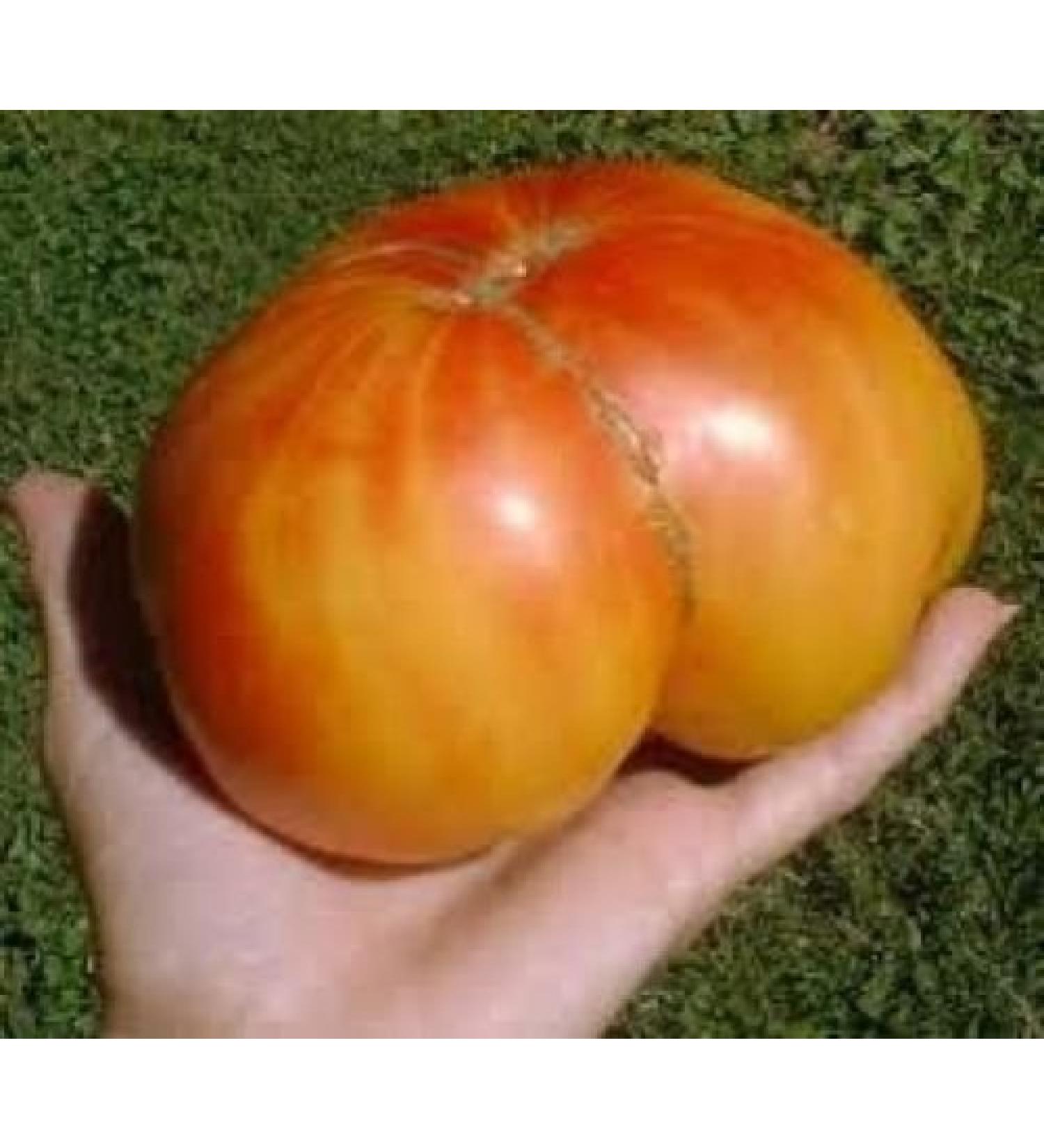 30 Old Semi German Cimelio di Tomato 2018 (Non GMO Semi -cimel Vegetable!) - Buy Online on GoSupps.com