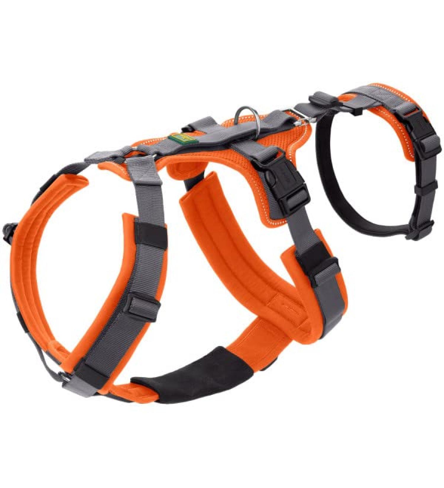 Safety Harness Maldon Orange/Grey - Size SM | Durable & Comfortable | International Shipping Available - Buy Online on GoSupps.com