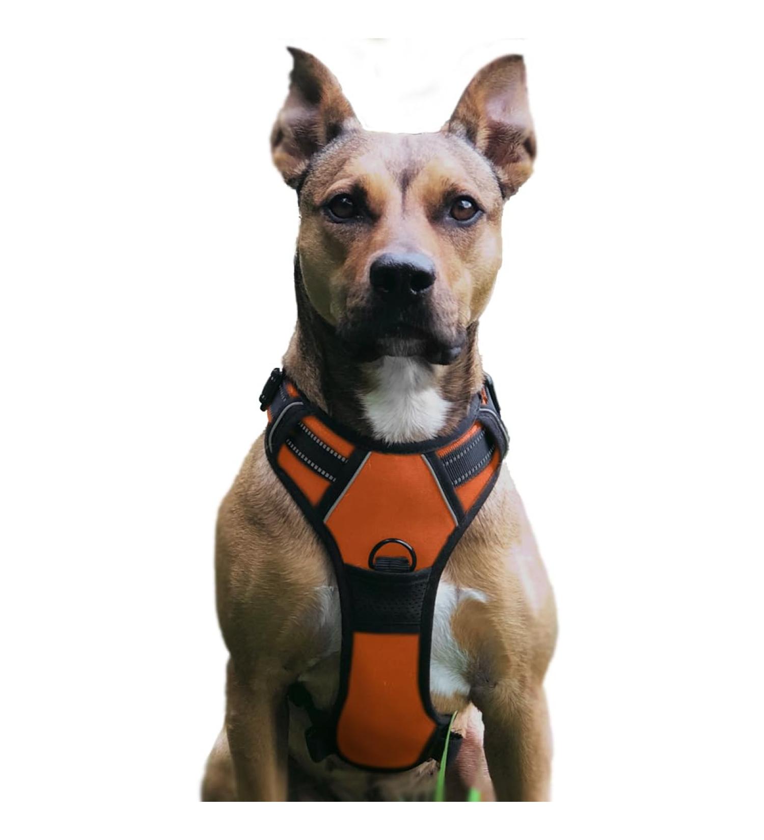 Adjustable No Pull Dog Harness - Breathable Reflective & Soft Padded - Ideal for Dogs (Color M) - Buy Online on GoSupps.com