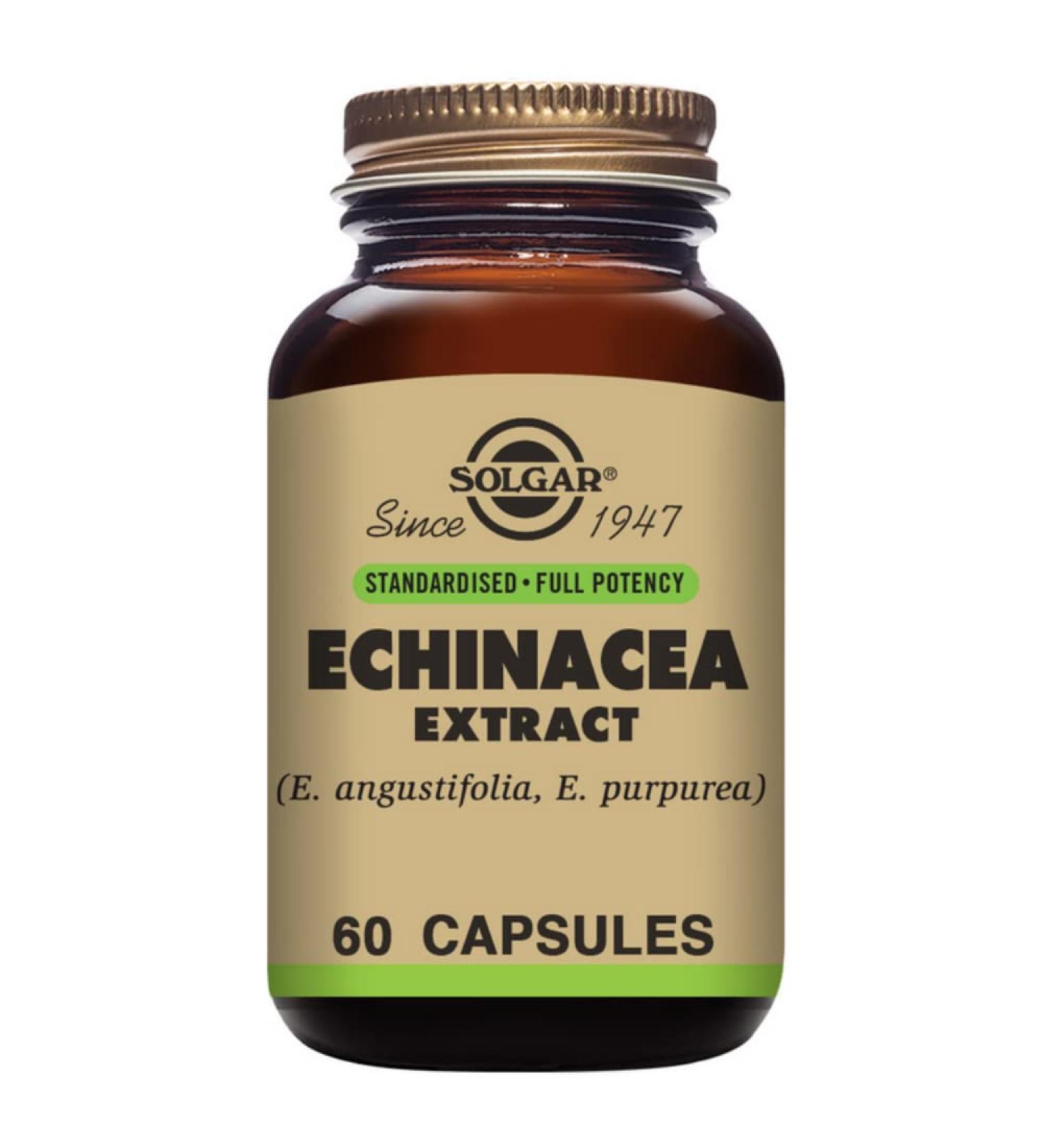 Solgar Echinacea Herb Extract 60 Vegetable Capsules