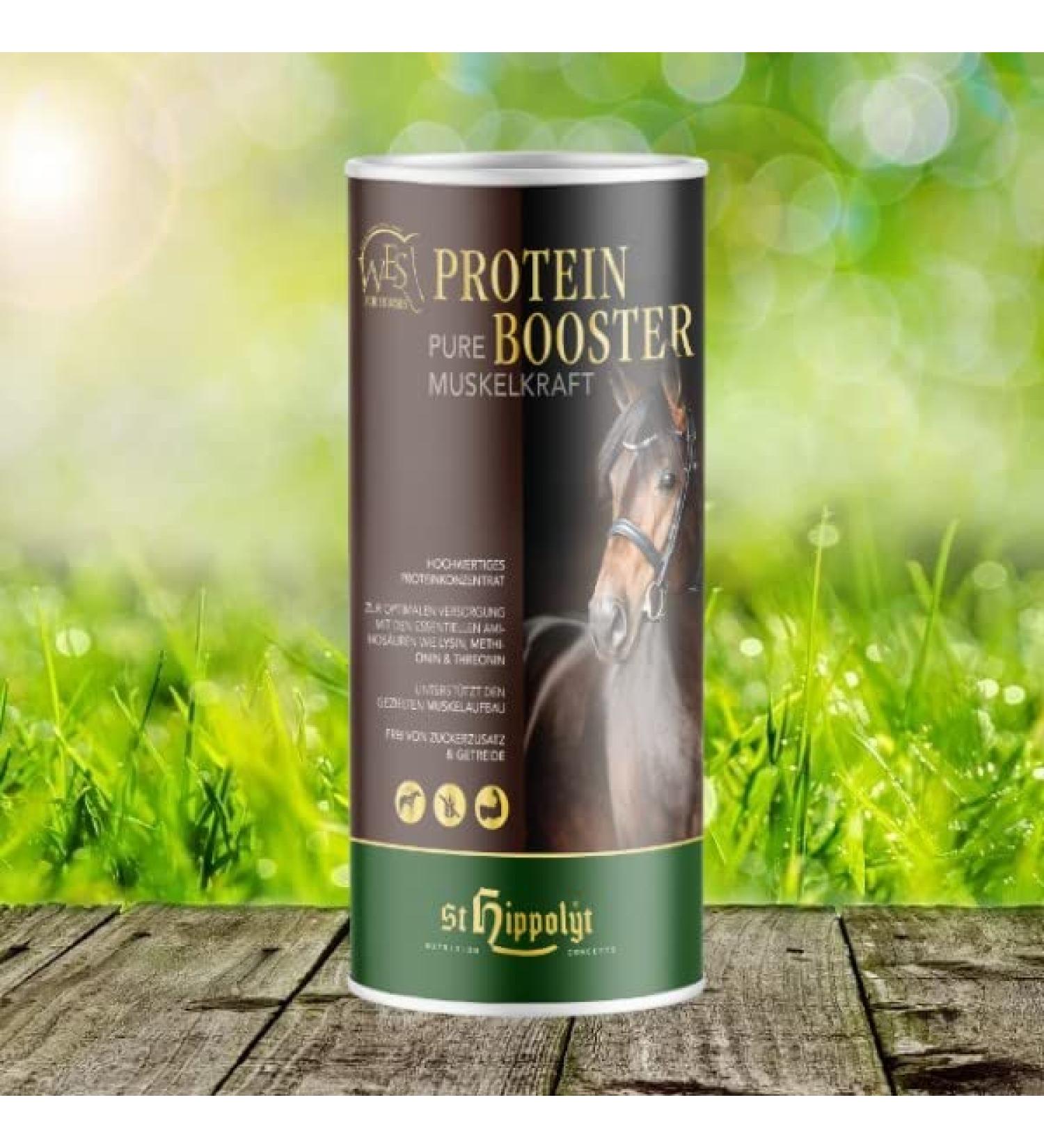 WES - Protein Booster - 0.8 g