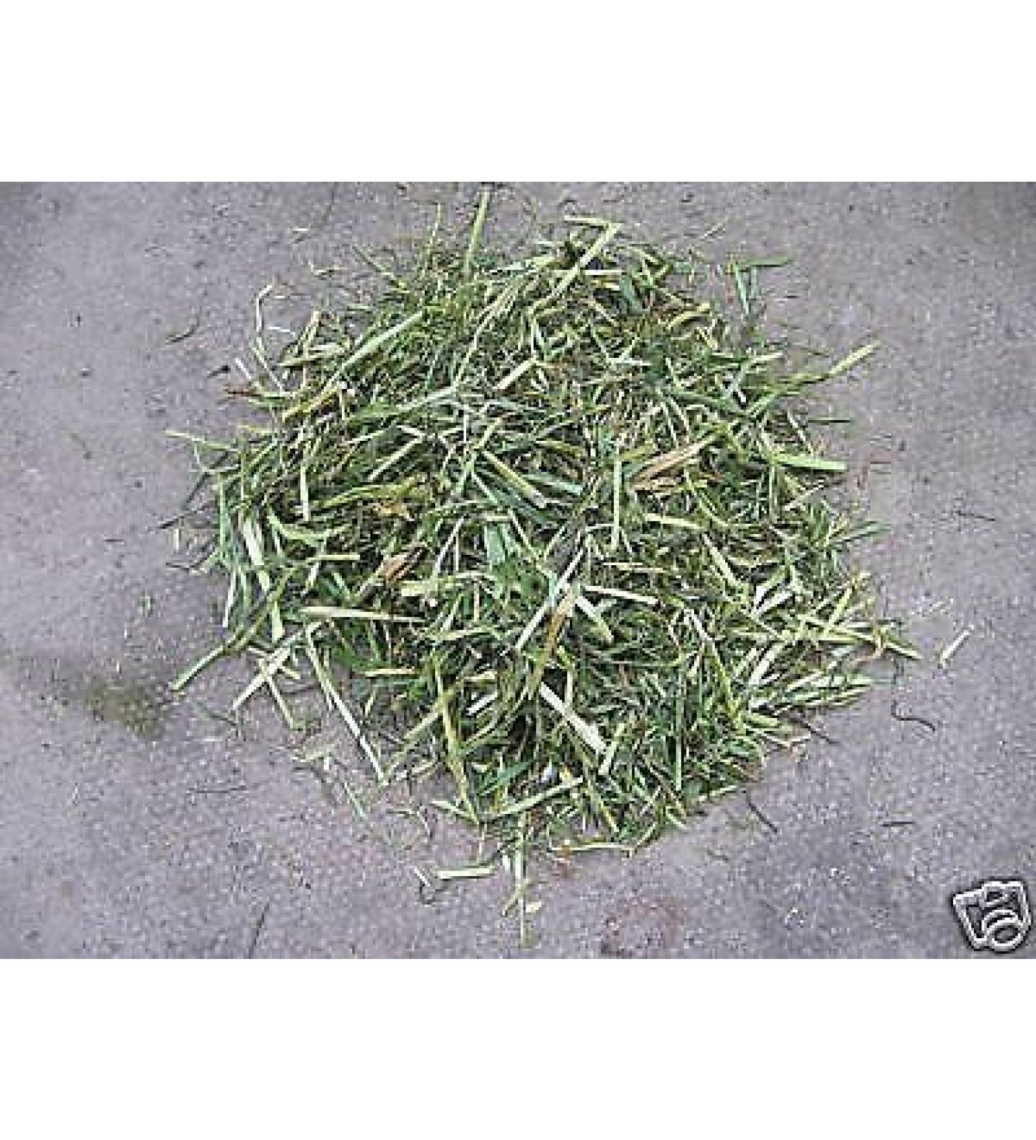 Shelled Warriors ReadiGrass 100g Tortoise Food/Bedding TRIAL