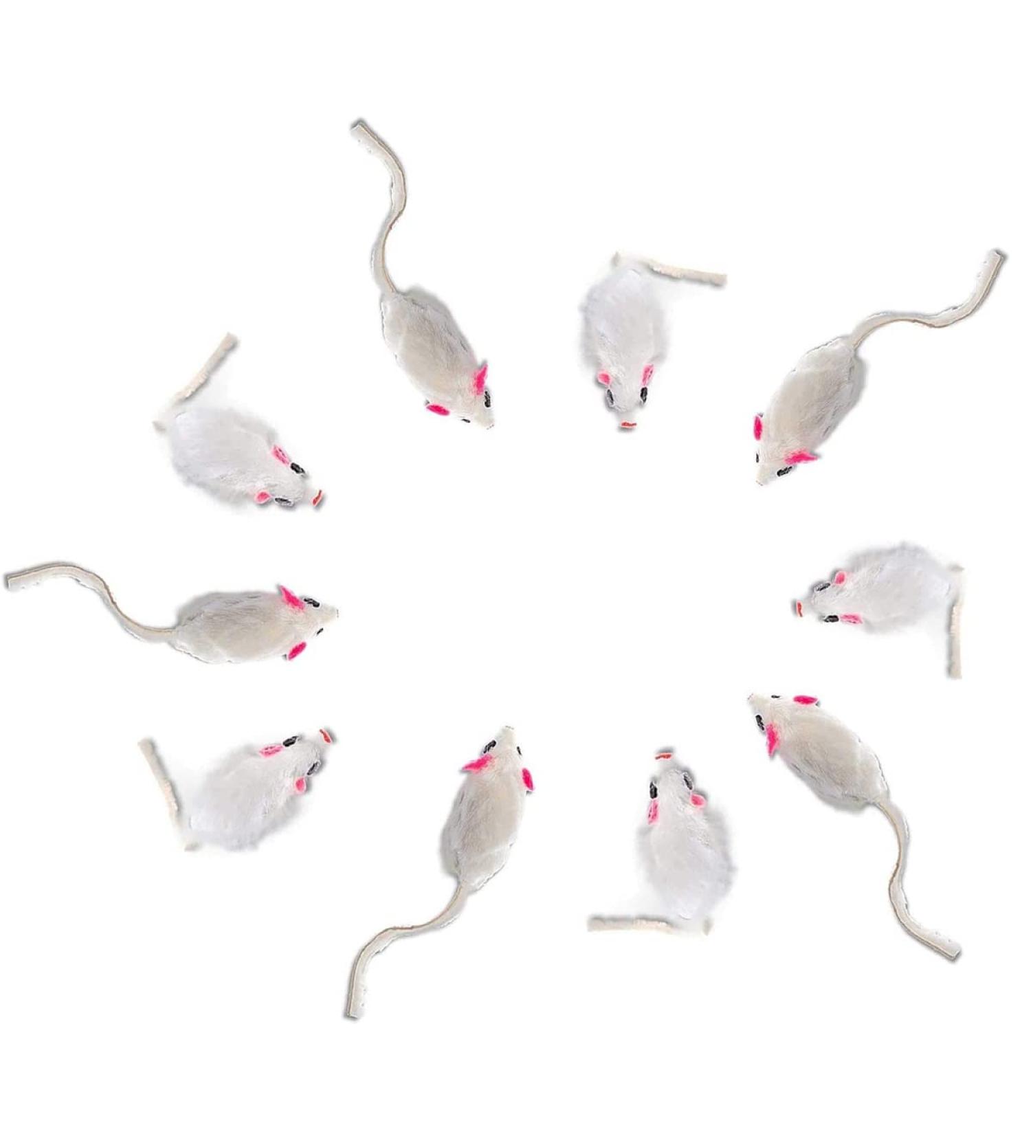 Elanox 10 Set Spielm us Spielmaus 10 pieces with bell and without plastic parts outside (eyes nose) soaked into catnip (10 pieces white)