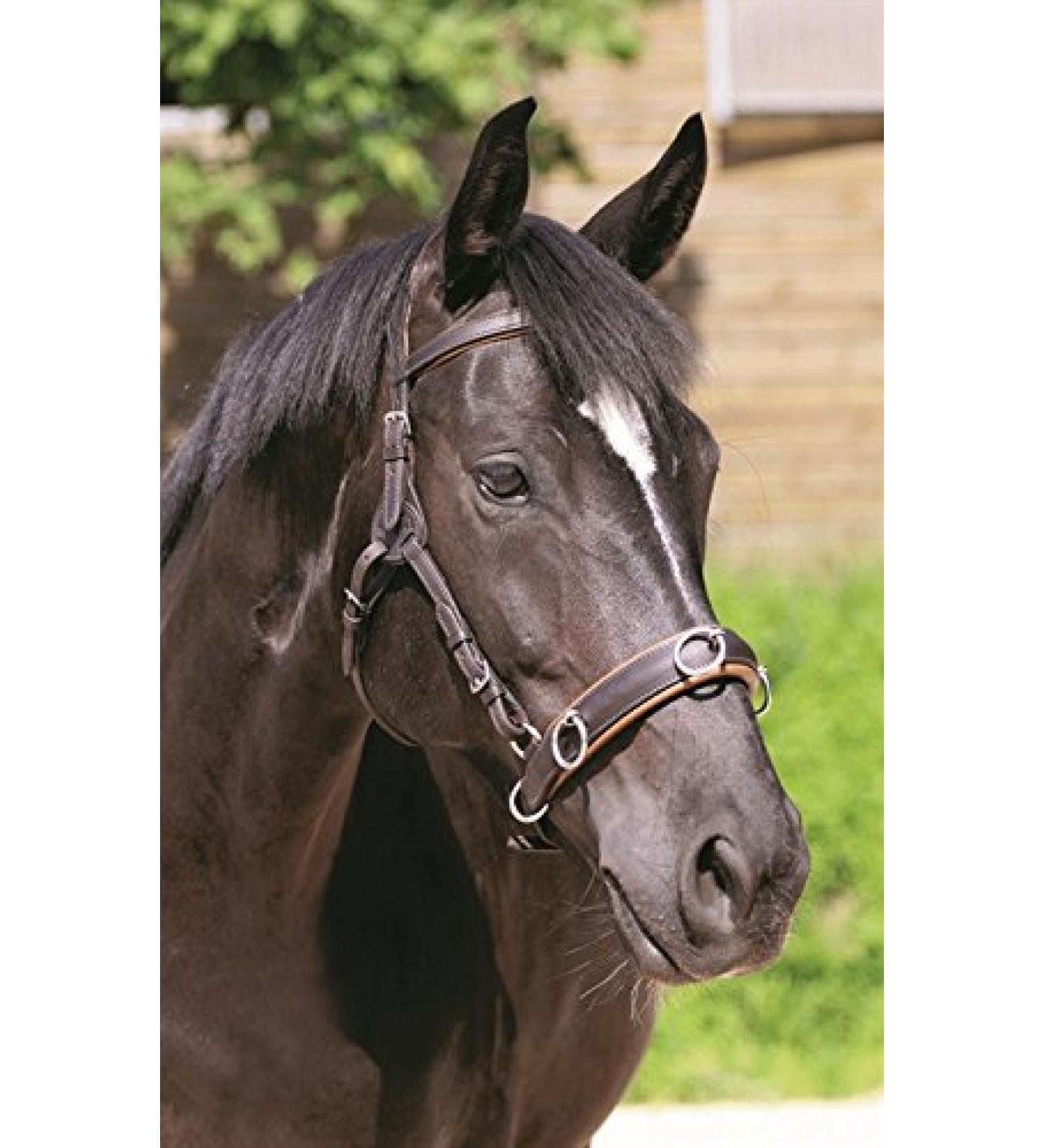 Buy Headpiece Contour Physio in Brown COB - VB | International Shipping Available - Buy Online on GoSupps.com