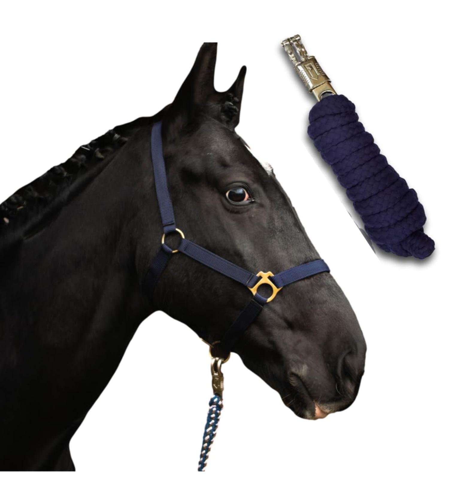 Halter for Horses with Rope | Leading Knitting Halter for Shetty Pony Thoroughbred Full X-Full | Dark Blue Mini Shetty - Buy Online on GoSupps.com