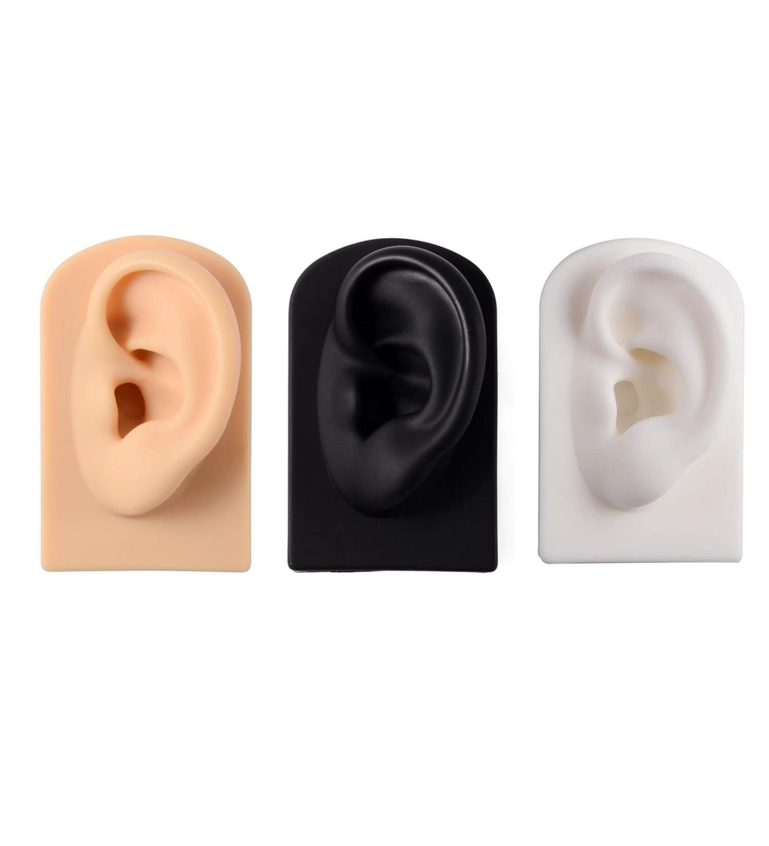3 Pc Silicone Ear Model - Simulation Artificial Ear Model - for Hearing Aids Wearing & Ear Canal Products Display Right - Buy Online on GoSupps.com