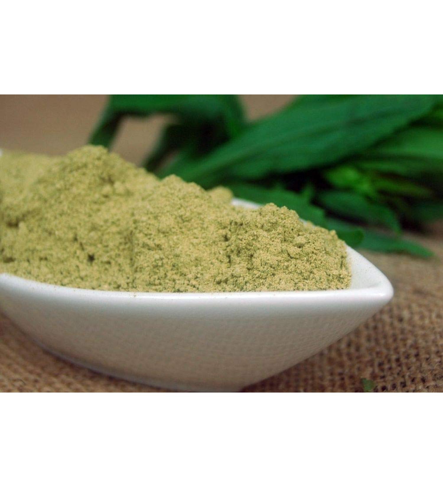 Krauterino24 - Ground golden verbena quantity: 500 g