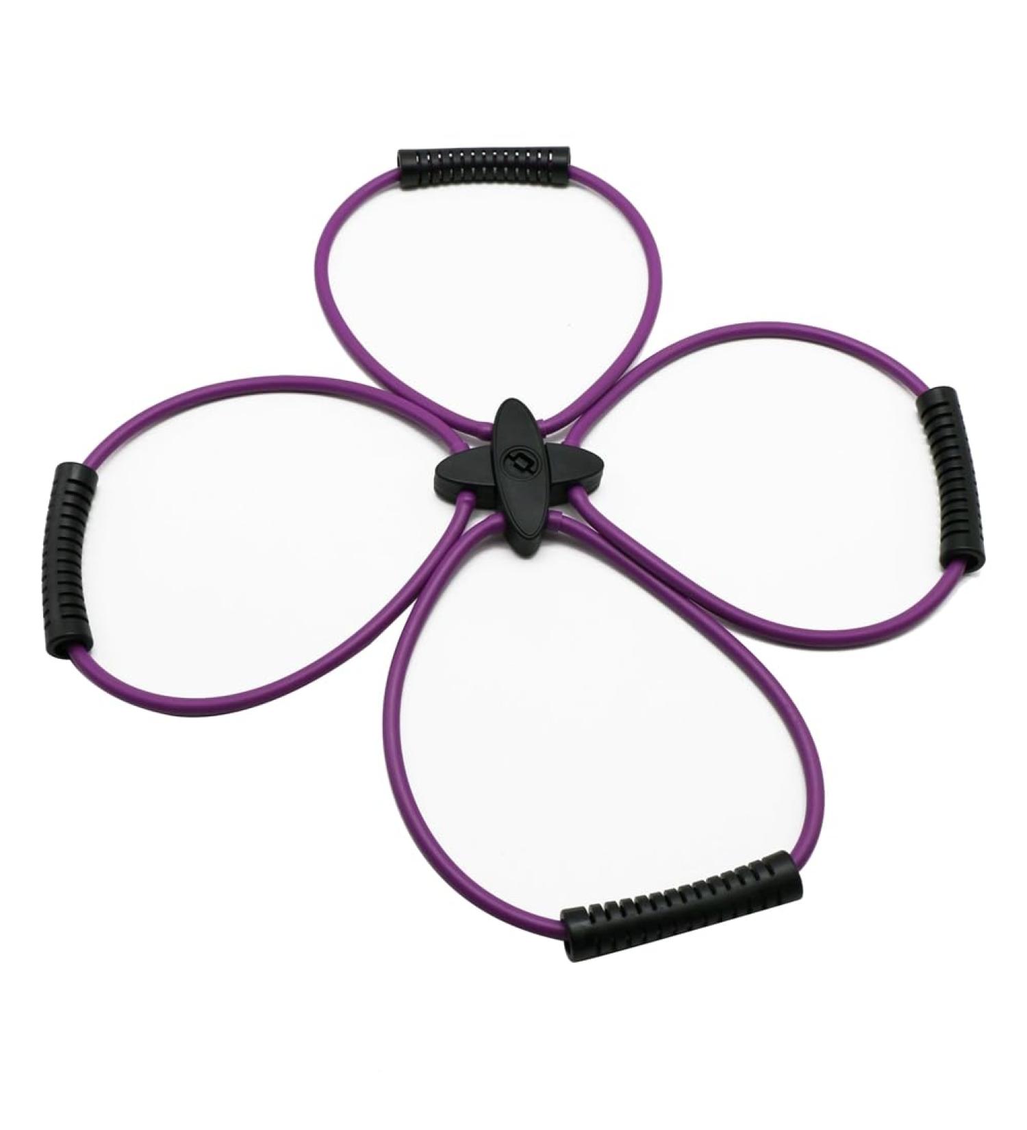 Dewedrt Pilates Reformer Resistance Band Kit Home Fitness Equipment for Total Body Workout - Helps Target Muscles Tone(Purple) - Buy Online on GoSupps.com