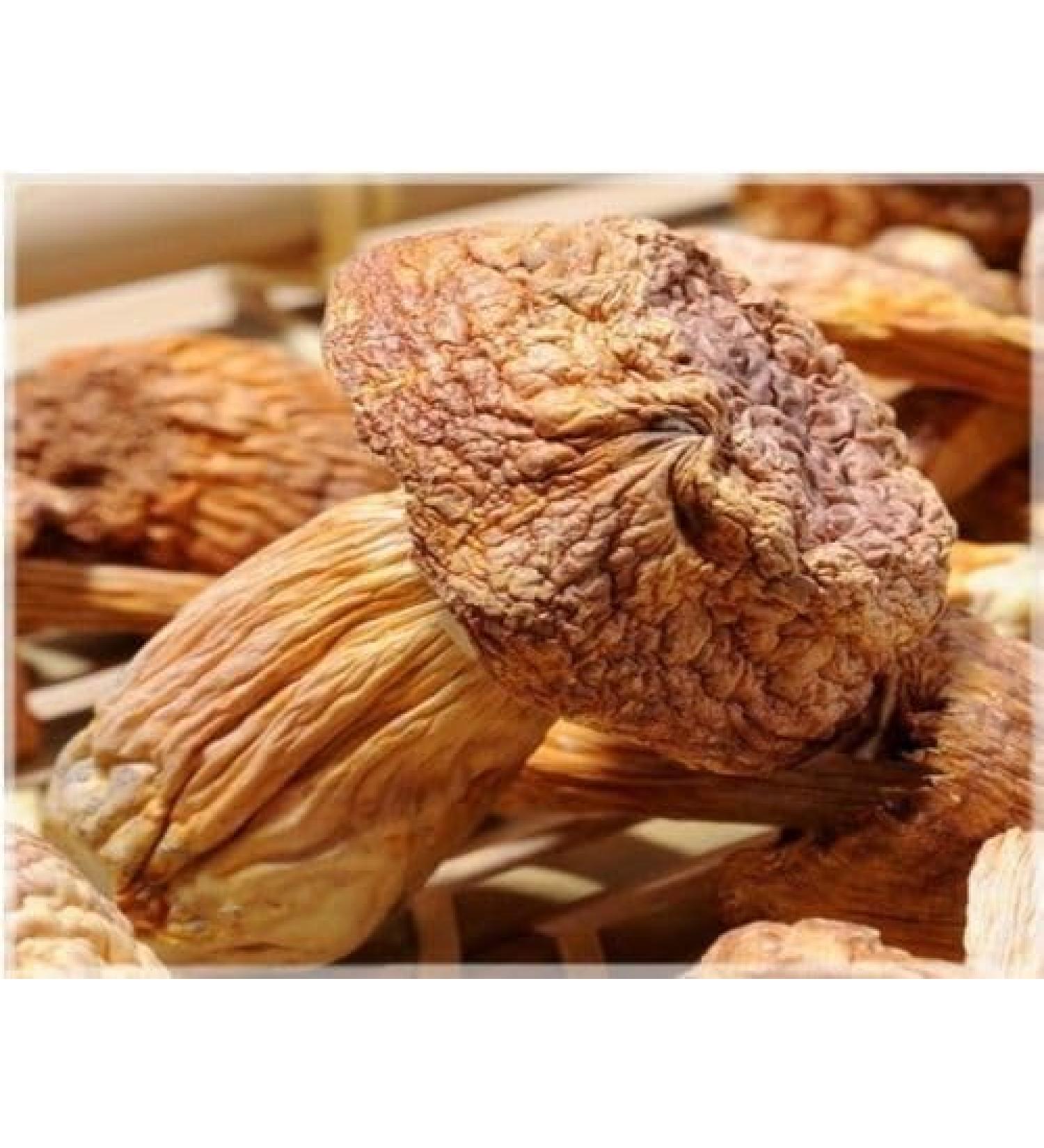 WENXUANSU:Dried mushroom Agaricus blazei 908 grams - Buy Online on GoSupps.com