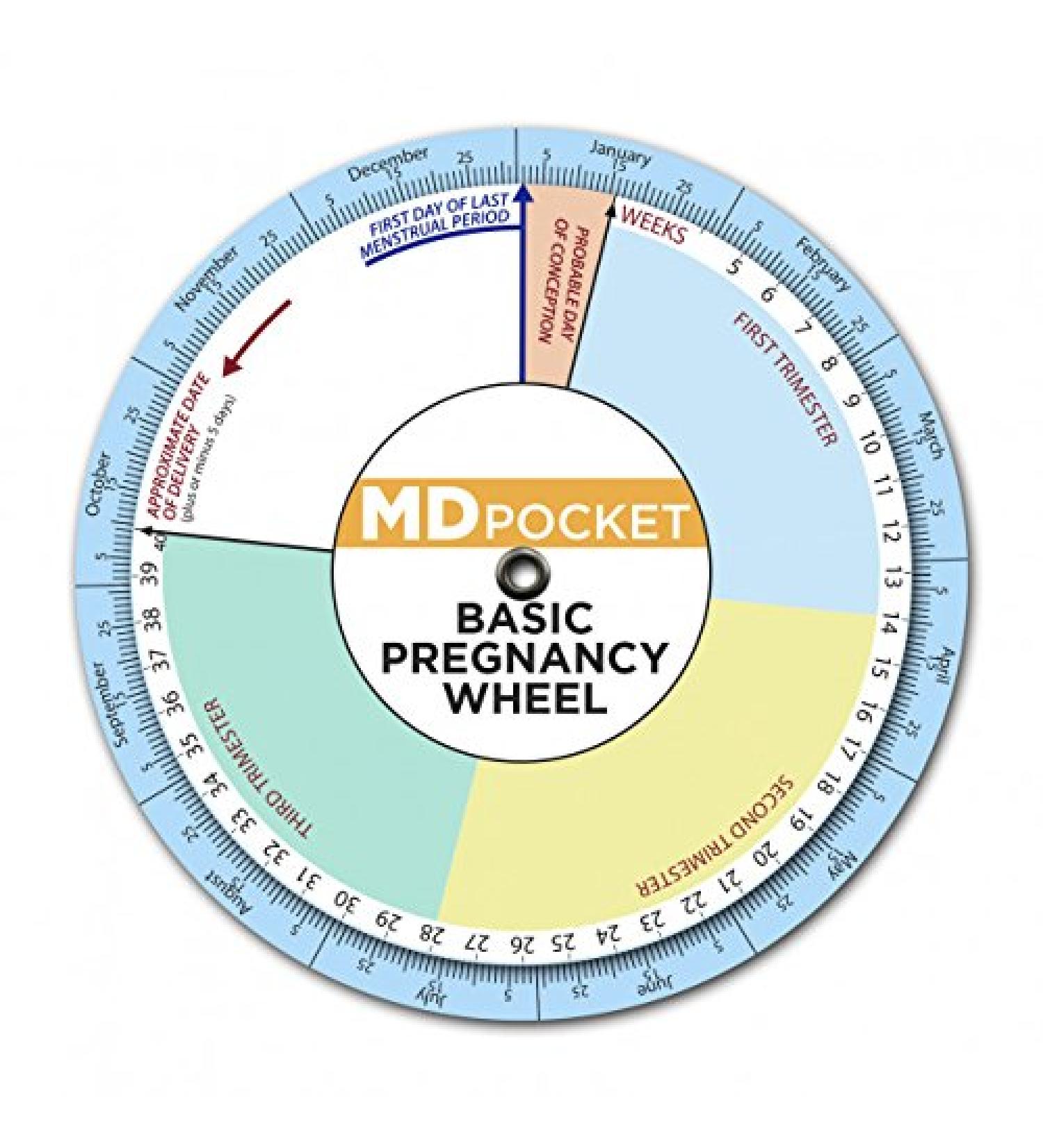 MDpocket Basic Pregnancy Wheel - Essential Tool for Pregnancy Tracking - Buy Online on GoSupps.com