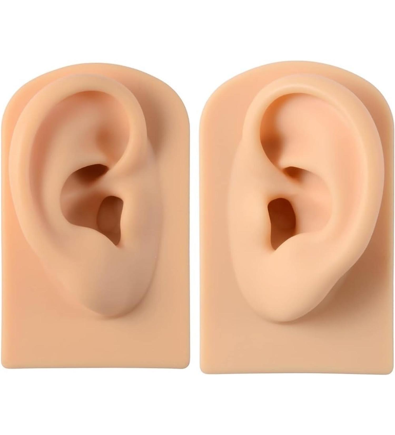 XARONF Silicone Acupuncture Ear Model - Reusable Simulation for Science Class - Skin Tone - 1 set - Buy Online on GoSupps.com