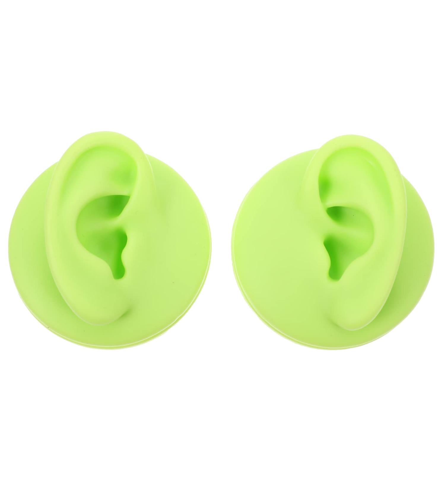 Healeved 2pcs Colored Earring Molds Teaching Aid - Green 3D Human Ear Model - Buy Online on GoSupps.com