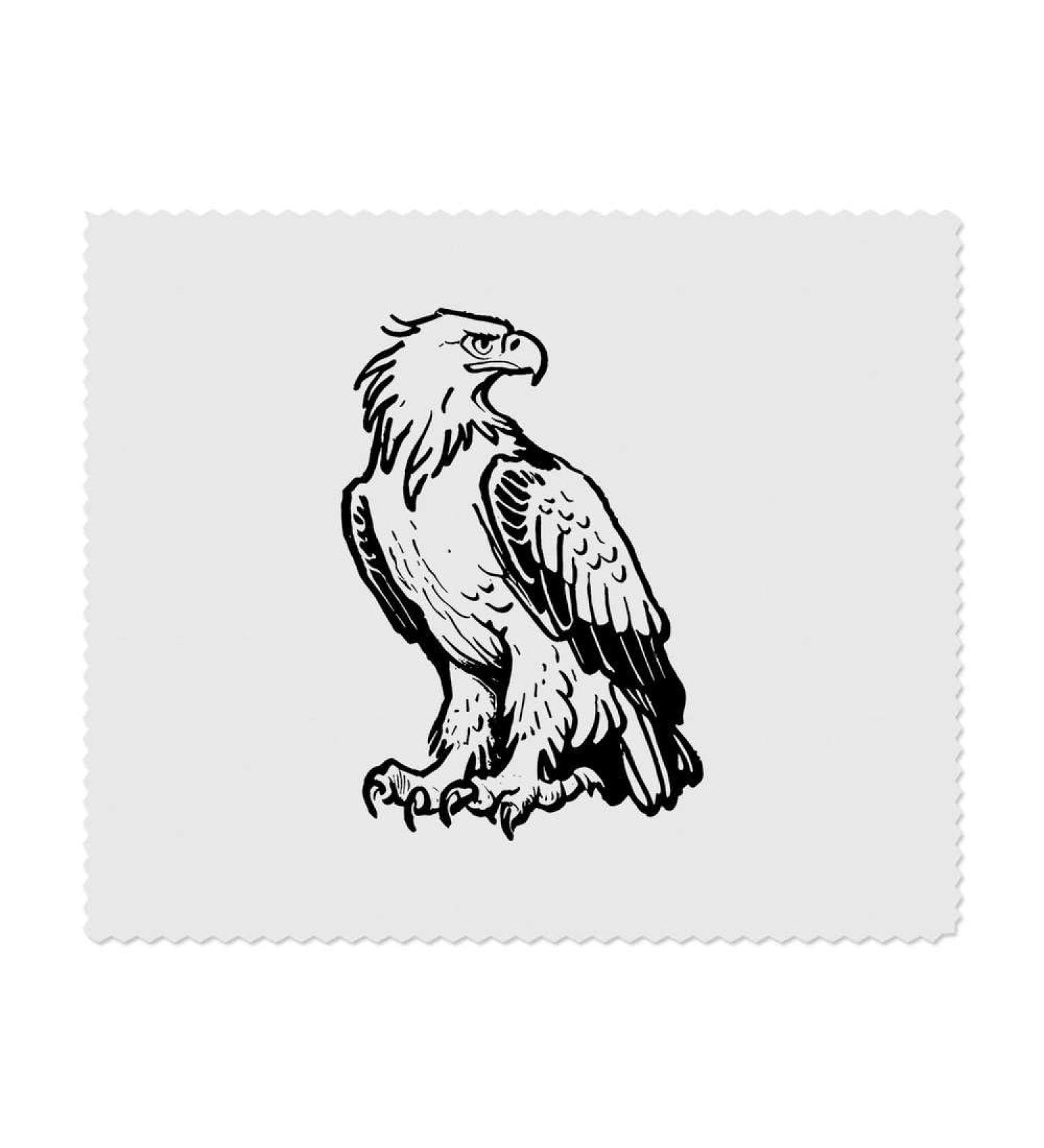 Buy 2 x Majestic Eagle Microfiber Cleaning Cloths - Premium Quality Eco-Friendly International Shipping - Buy Online on GoSupps.com