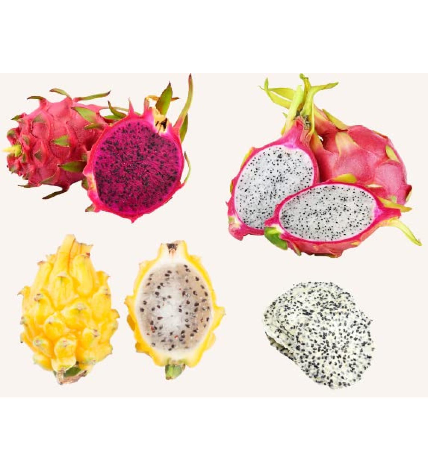 Fresh dragon fruit selection box - white red and yellow dragon fruit! - Expertly sourced by My Exotic Fruit