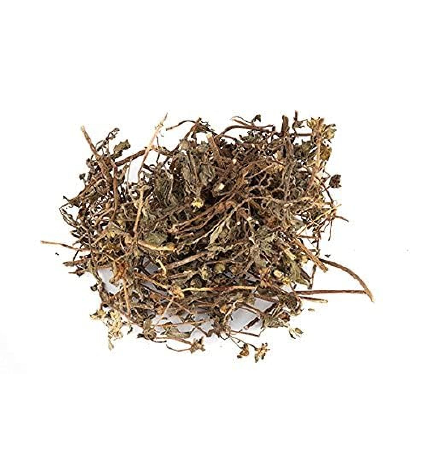 Eclipta Prostrata Alba False Daisy BHRINGRAJ Dried Leaves Guntagara Bulk Pack 500 g