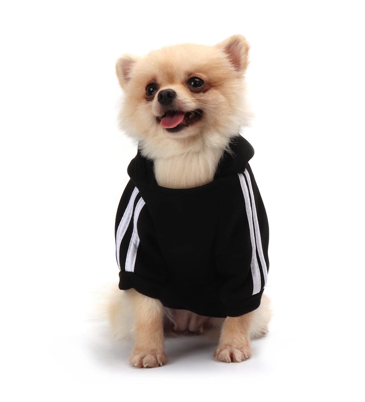 QiCheng&LYS Small Dog Hoodie - Winter Knitted Sweater Coat for Small Dogs (Black S) | International Shipping Available - Buy Online on GoSupps.com