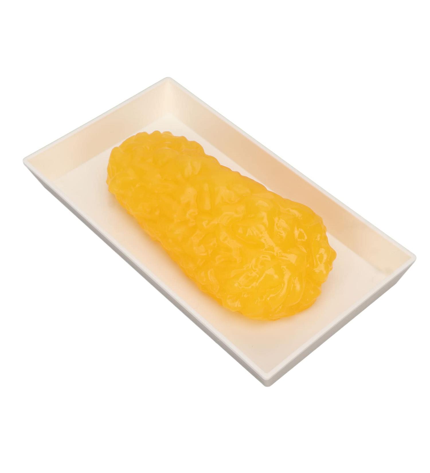 Body Fat Replica Fatty Replica Model Fat Demonstration Model with Exquisite Workmanship Simulated Appearance for Nutritionist Science Course Plastic Material - Buy Online on GoSupps.com