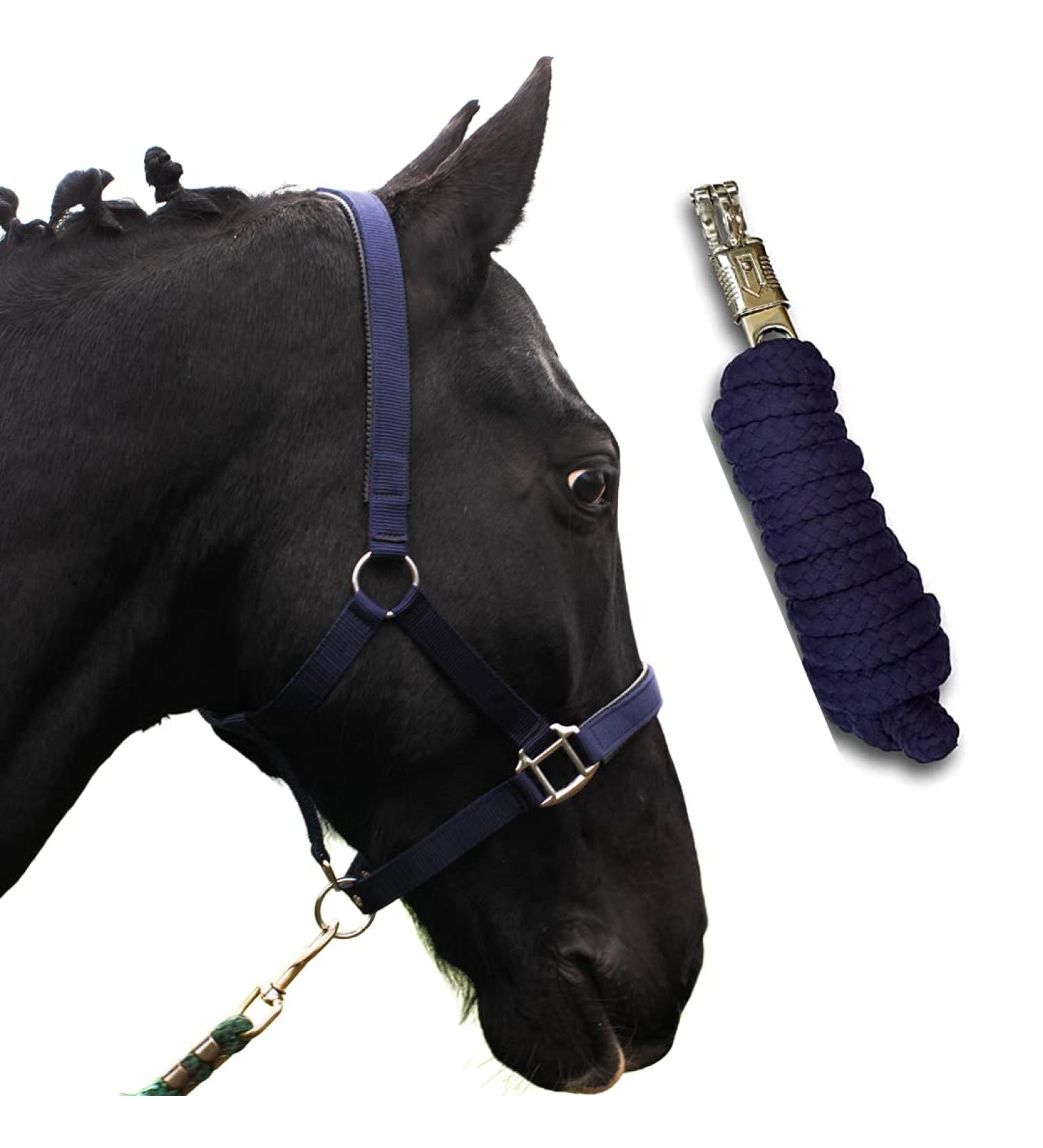 Halter for Horses with Rope | Premium Blue Cob Halter for Ponies & Thoroughbreds | Durable Knitting Design - Shop Now! - Buy Online on GoSupps.com