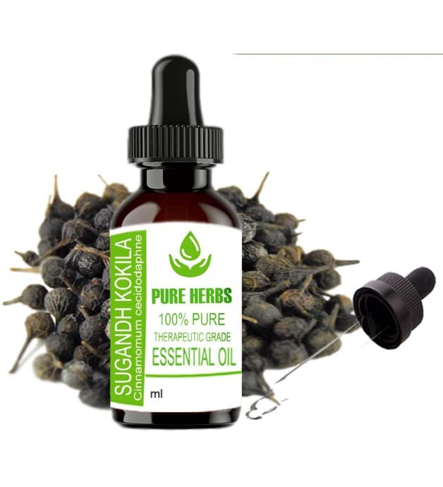 Buy Pure Herbs Sugandh Kokila Essential Oil (Cinnamomum Cecidodphne) - 50 ml | Premium Quality Aromatherapy Oil for Relaxation & Wellness - Buy Online on GoSupps.com