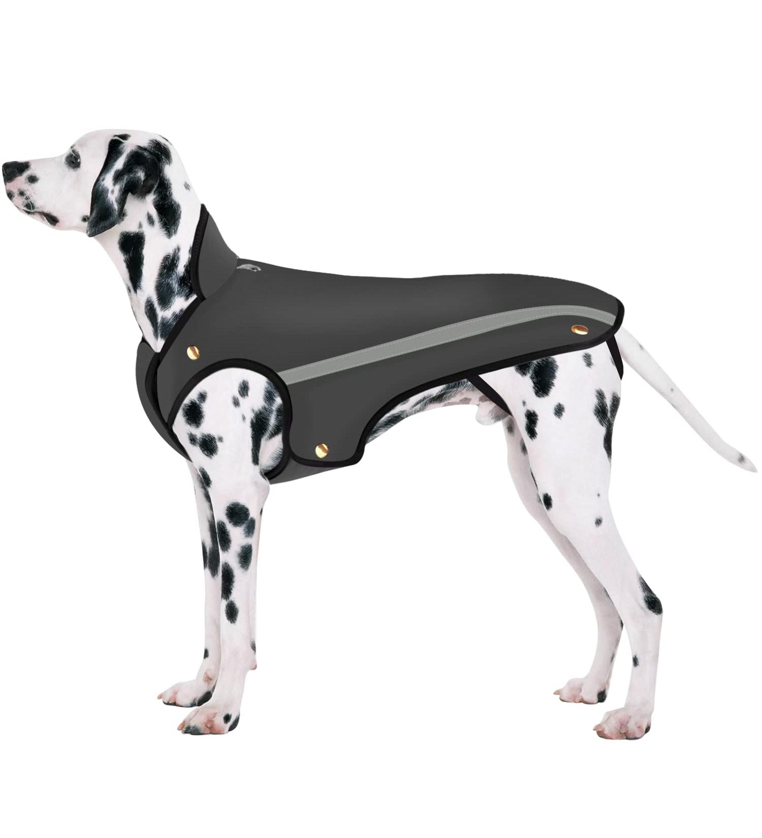 Slowton Dogs Winter Jacket | Adjustable Waterproof Dog Coat with Reflective Stripes | Warm Snowsuit for Pets (L Gray) - Buy Online on GoSupps.com