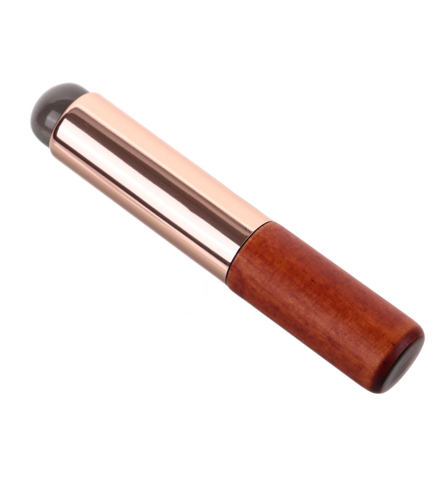 Silicone Lip Brush Lipstick Makeup Tool Lip Brush for Women Lip Gloss Brush Makeup Brush Concealer Brush Lip Applicator for Lip Balm Lip Applicator for Lip Gloss Lip Wands Plastic Didiseaon - Buy Online on GoSupps.com