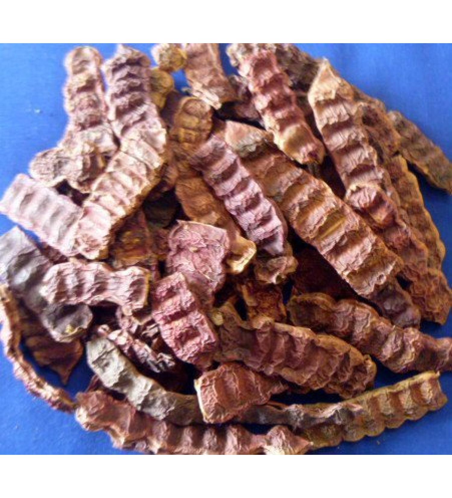 Acacia Concinna Fruit Pods Shikakai Ancient Shampoo Hair Cleanser 500gm - 1.1 Lb by Shikakai