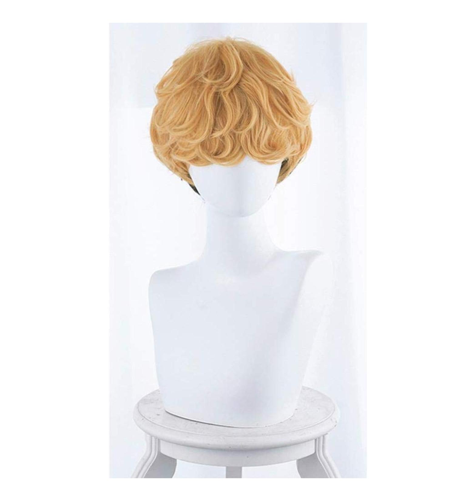 Buy 12-Inch Anime Cosplay Rose Net Wig - Short Curly High-Temperature Resistant Hairpiece - Buy Online on GoSupps.com