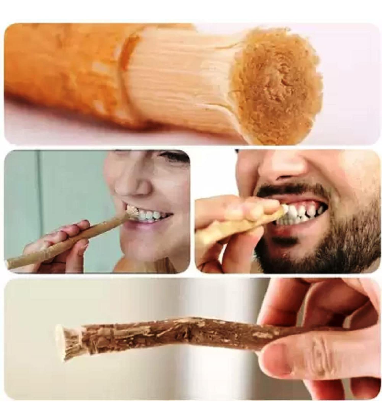 Buy Natural Traditional Miswak Peelu Chewing Stick Toothbrush for Whiter Teeth - 10 Pack | Eco-Friendly Oral Care - Buy Online on GoSupps.com