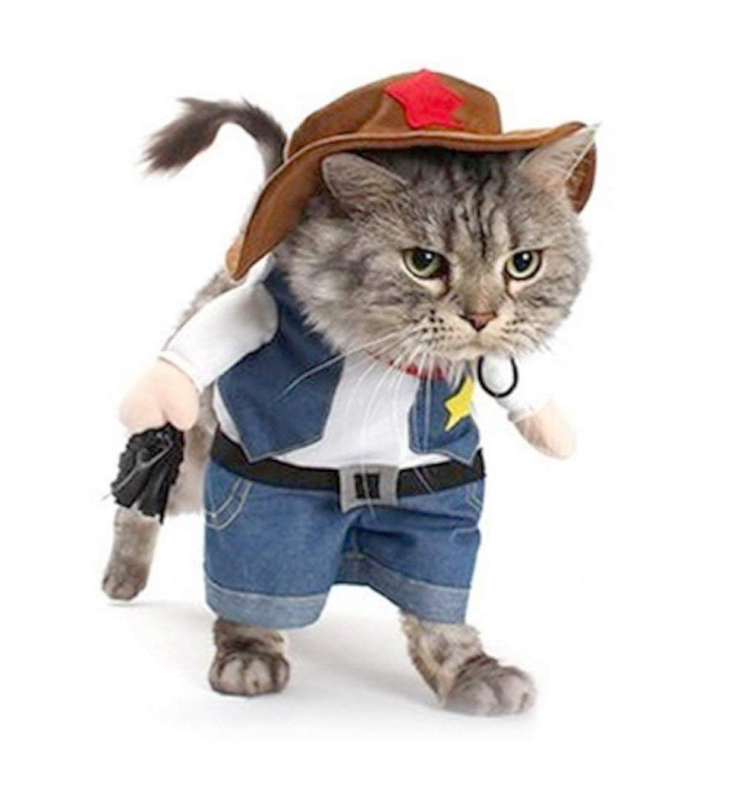 NACOCO Cowboy Dog Costume with Hat - Halloween Costume for Small Dogs and Cats - Buy Online on GoSupps.com