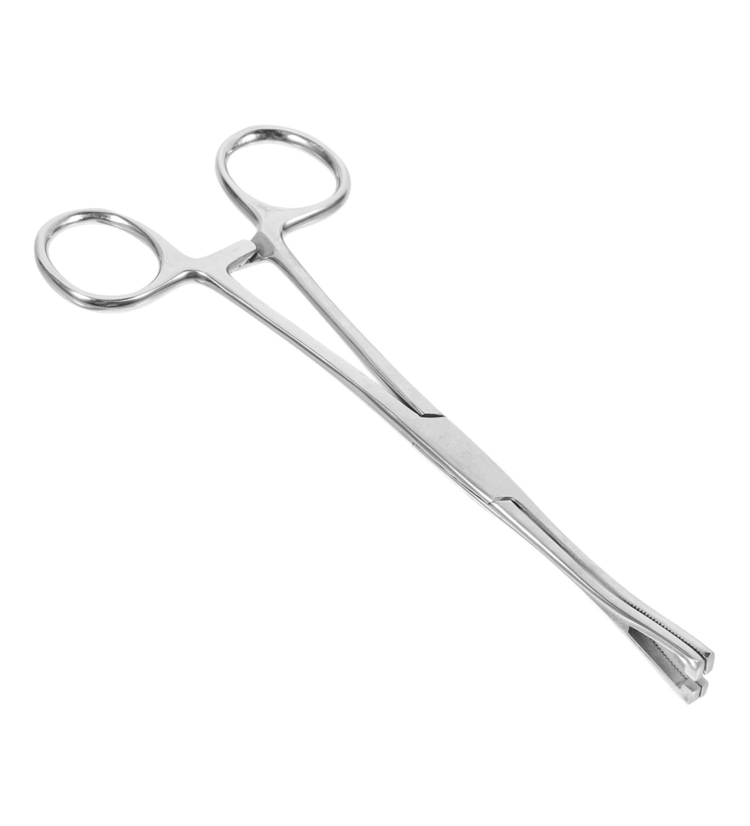 SEWOART Reptile Feeding Clip Lizard Stuff Reptile Tools Gecko Tool Stainless Steel Silver - Buy Online on GoSupps.com
