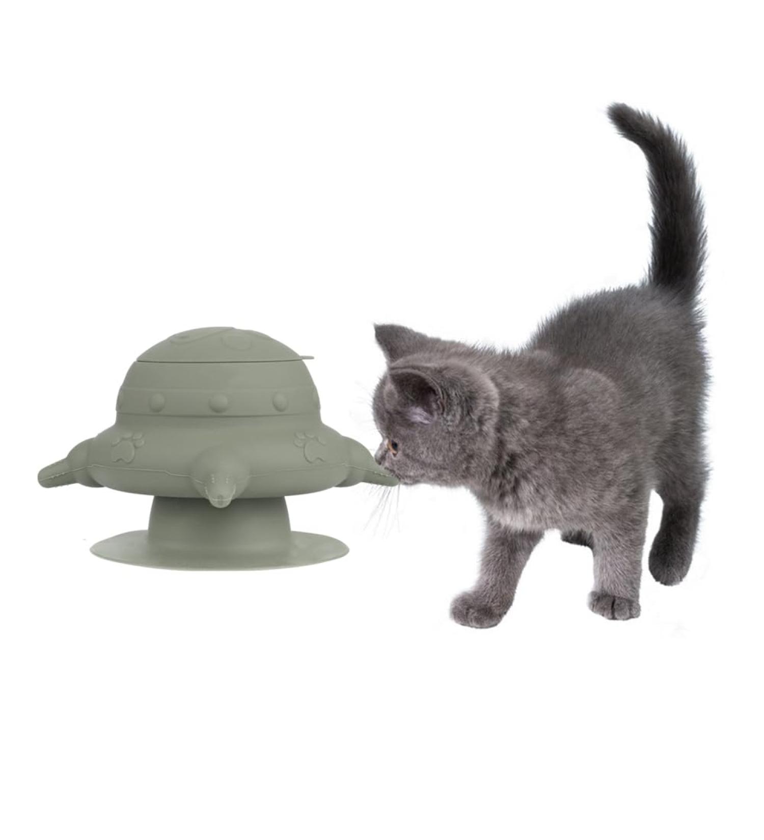 Breeding Help: Silicone Feeding Station for Puppies & Kittens 4 Nipple Milk Feeders for Newborn Pets - Buy Online on GoSupps.com