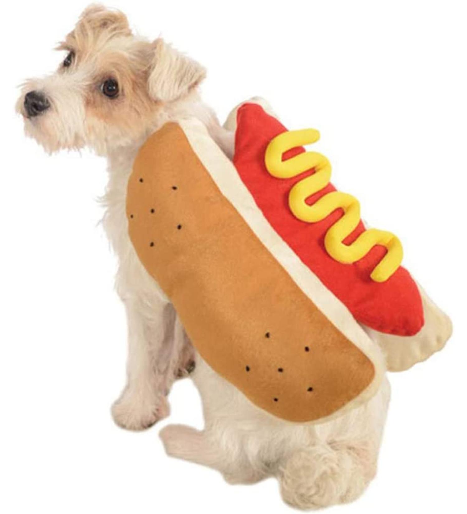 Funny Halloween Costume for Dogs & Cats - Hot Dog Outfit for Golden Retrievers Corgis & Mops | Size S to M | Perfect Christmas Party Costume - Buy Online on GoSupps.com