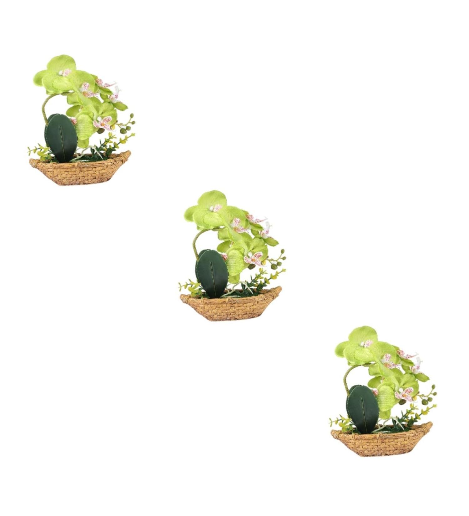 TOPBATHY 3pcs Rn Gift Phalaenopsis Home Accents Decor The Gift Home Forniture Decor Artificial Flower Bonsai Decor for Home Office Decor Garden Simulated Plant Double Fork Fake Orchid Greenx3pcs 27*17.5cmx3pcs - Buy Online on GoSupps.com