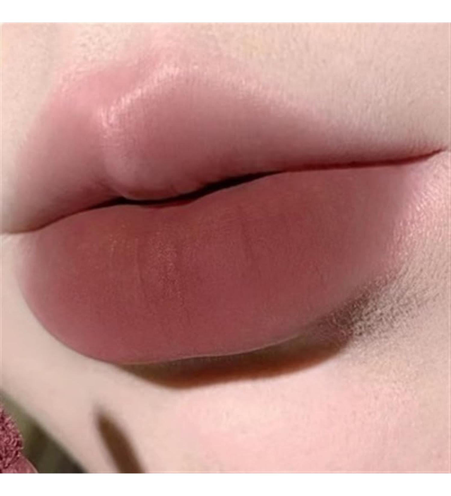 BADALO Velvet Mist Water Mist Lip Mud Soft Silky Matte Matte Vegan White NonStick Lip Gloss Lip Glaze Lipstick Color 2 dry rose