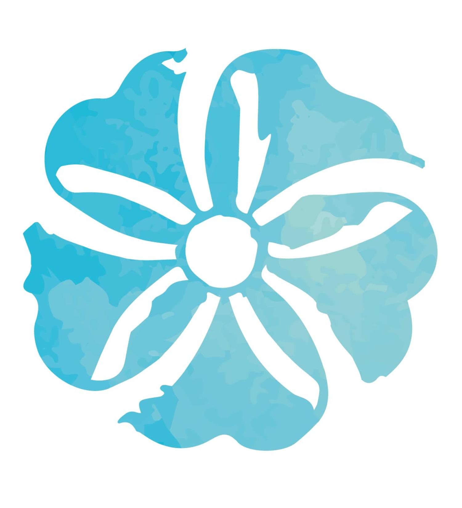 Dielisa DIETISIS Arandano Red Complex 8 g