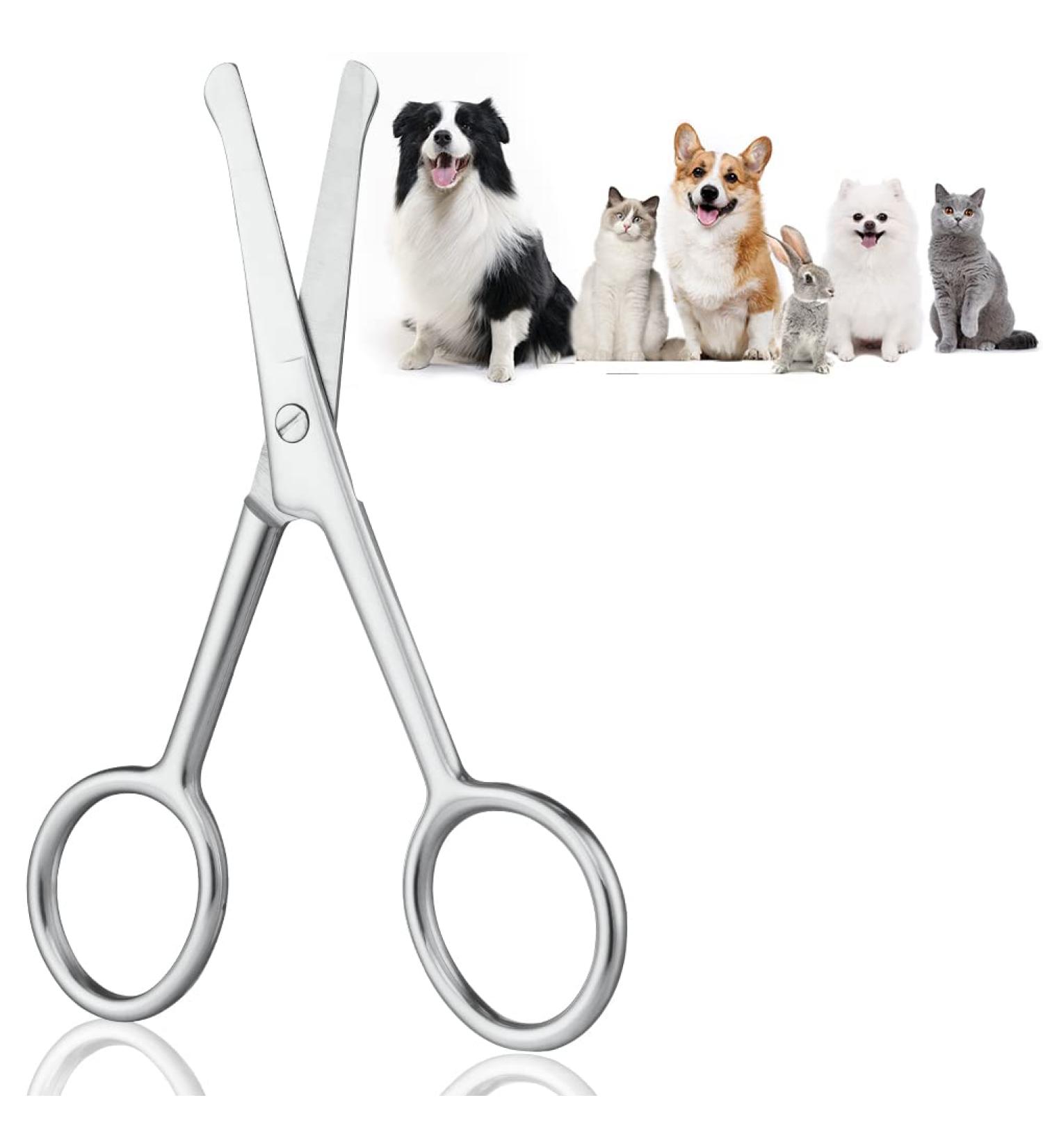 Buy Adiwo 10.5 cm Stainless Steel Dog Hair Scissors | Rounded Fur Scissors for Perfect Coat Care | International Shipping - Buy Online on GoSupps.com