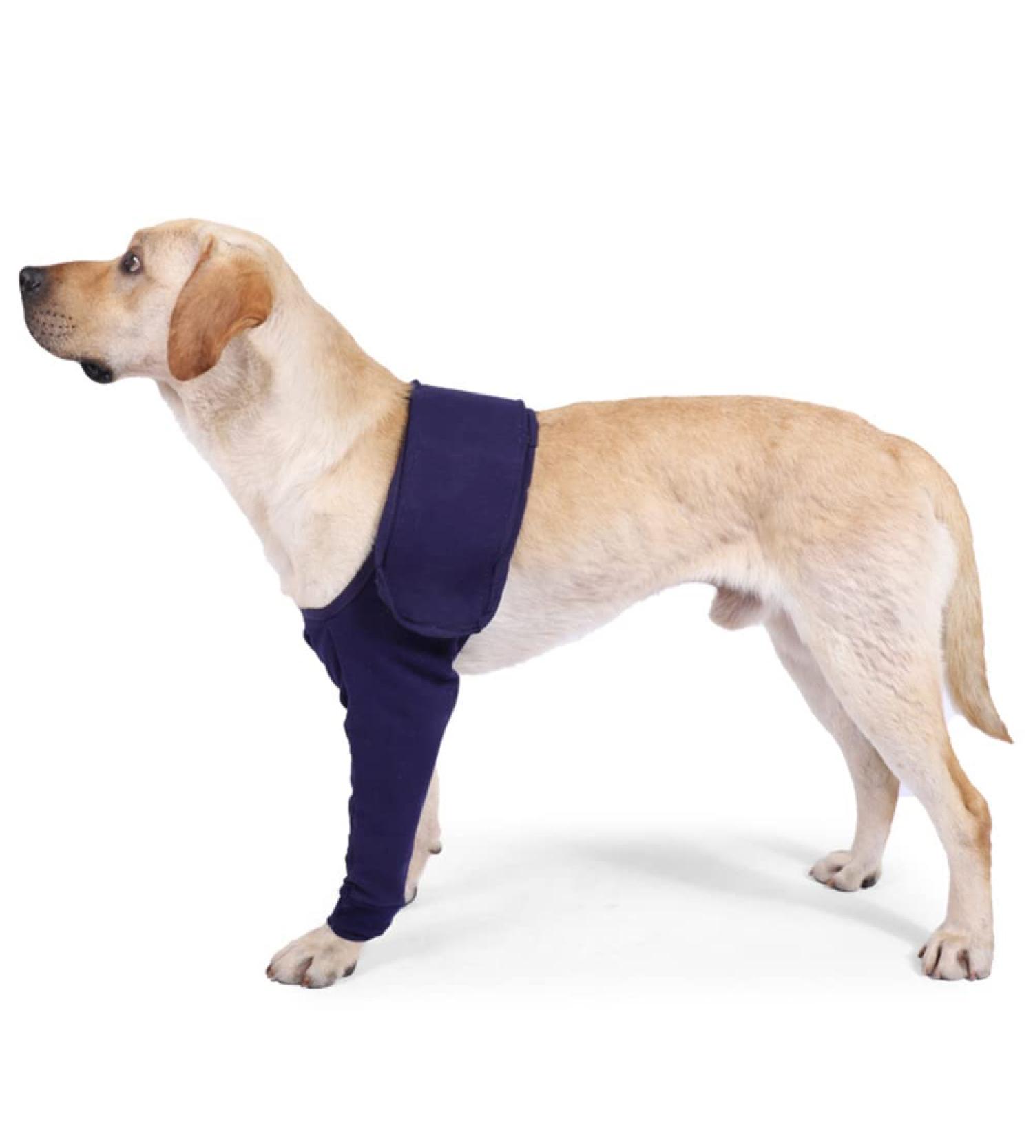 Pet Dogs Denim Anti-Licking Front Leg Support Brace | Breathable Sleeve for Injury Recovery & Sprains | Joint Wrap Protector in Jean Blue - S/M/L/XL/XXL/XXXL - Buy Online on GoSupps.com