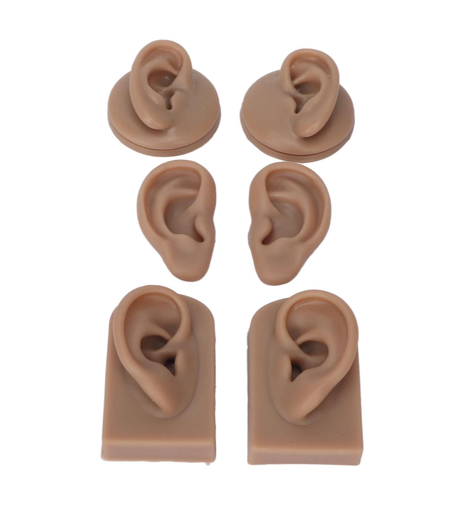 Soft Silicone Ear Model for Acupuncture & Training | 3 Pairs - Dark Skin Tone | Realistic Human Ear Display Props - Buy Online on GoSupps.com